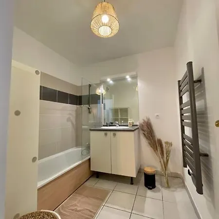 Apartment L'ovalie T2 Climatise Et Jardin Toulouse