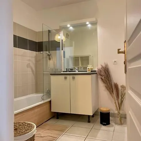 L'ovalie T2 Climatise Et Jardin * تولوز