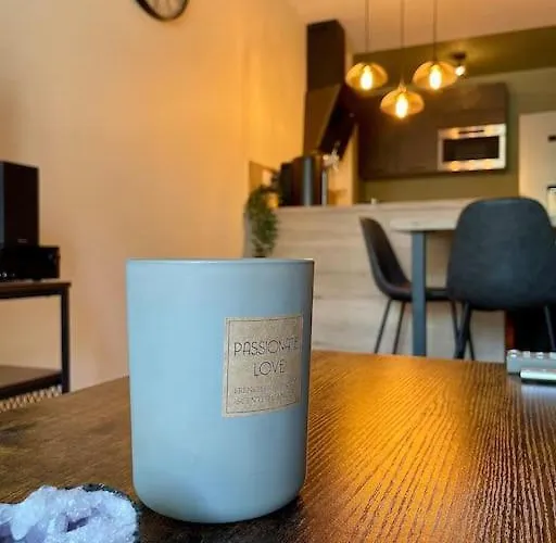 L'ovalie T2 Climatisé Et Jardin