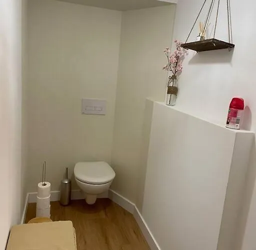 L'ovalie T2 Climatise Et Jardin *