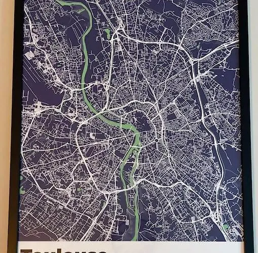 L'ovalie T2 Climatise Et Jardin * Τουλούζη