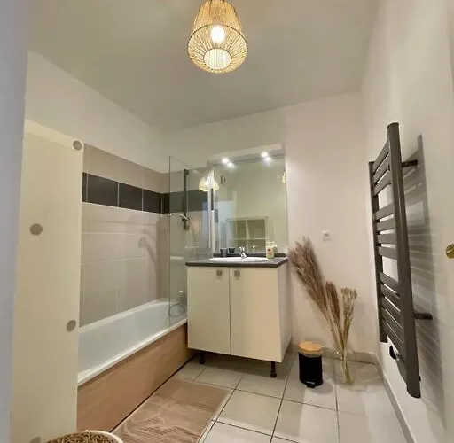 Apartamento L'ovalie T2 Climatisé Et Jardin Toulouse