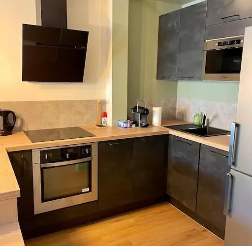 L'ovalie T2 Climatise Et Jardin