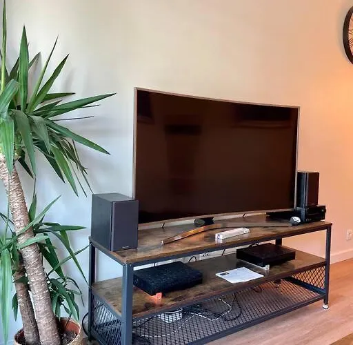 L'ovalie T2 Climatise Et Jardin * Τουλούζη