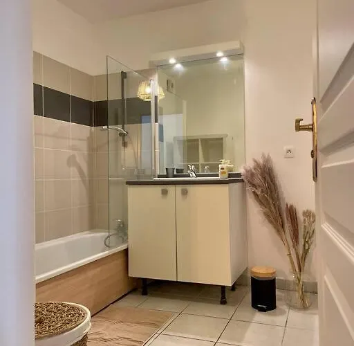 L'ovalie T2 Climatisé Et Jardin * Toulouse