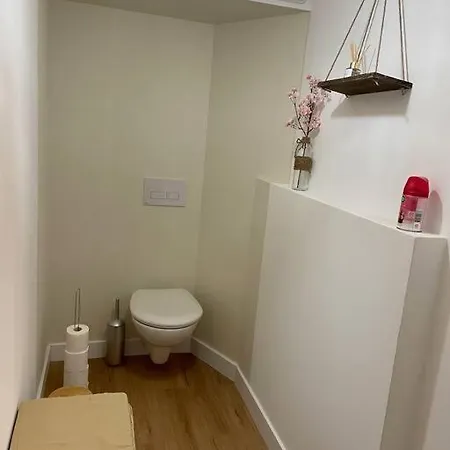 L'ovalie T2 Climatise Et Jardin *