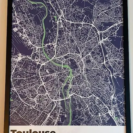 L'ovalie T2 Climatise Et Jardin * Toulouse